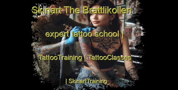 Skinart The Brattlikollen expert tattoo school | TattooTraining | TattooClasses | SkinartTraining-Norway